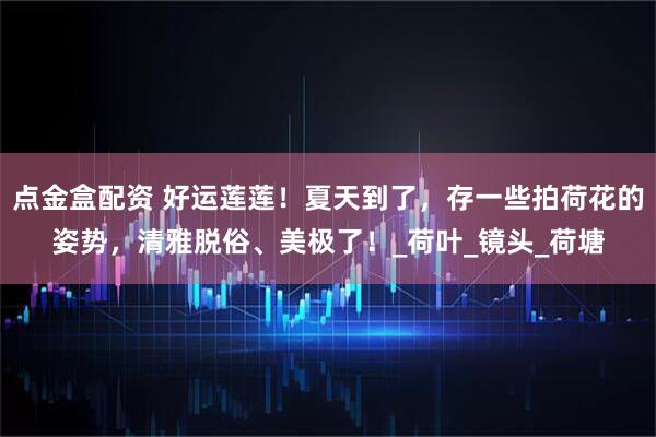 点金盒配资 好运莲莲！夏天到了，存一些拍荷花的姿势，清雅脱俗、美极了！_荷叶_镜头_荷塘