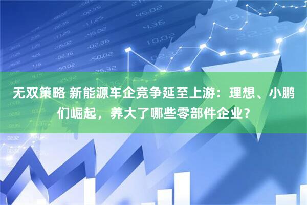 无双策略 新能源车企竞争延至上游：理想、小鹏们崛起，养大了哪些零部件企业？