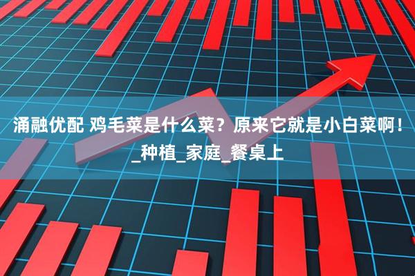 涌融优配 鸡毛菜是什么菜？原来它就是小白菜啊！_种植_家庭_餐桌上